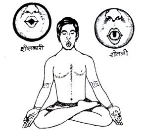 Sheetali Pranayama – disanje koje hladi. 
